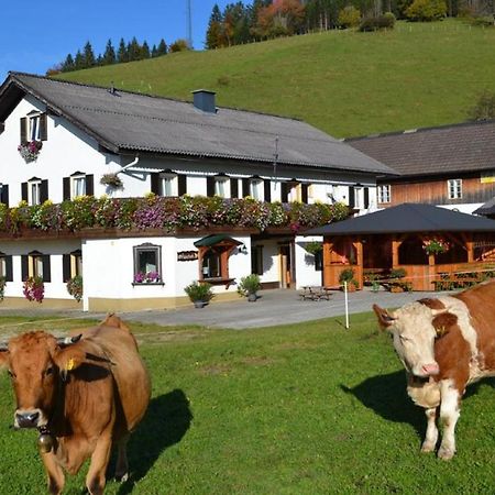 ルンツ・アム・ゼー Bio Bauernhof Moasヴィラ エクステリア 写真